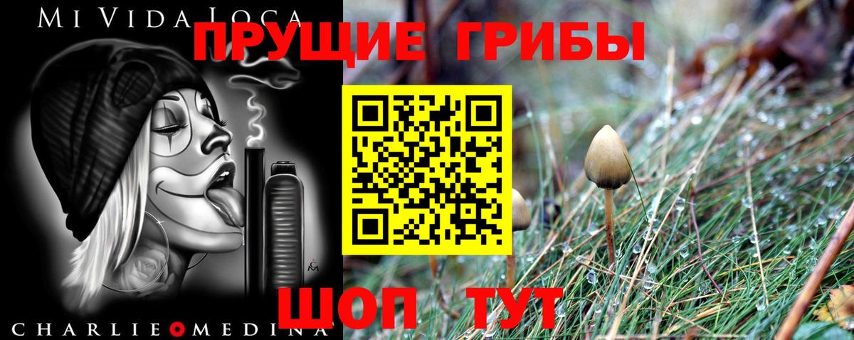 Псилоцибиновые грибы Psilocybe  Вход с VPN  Елец 